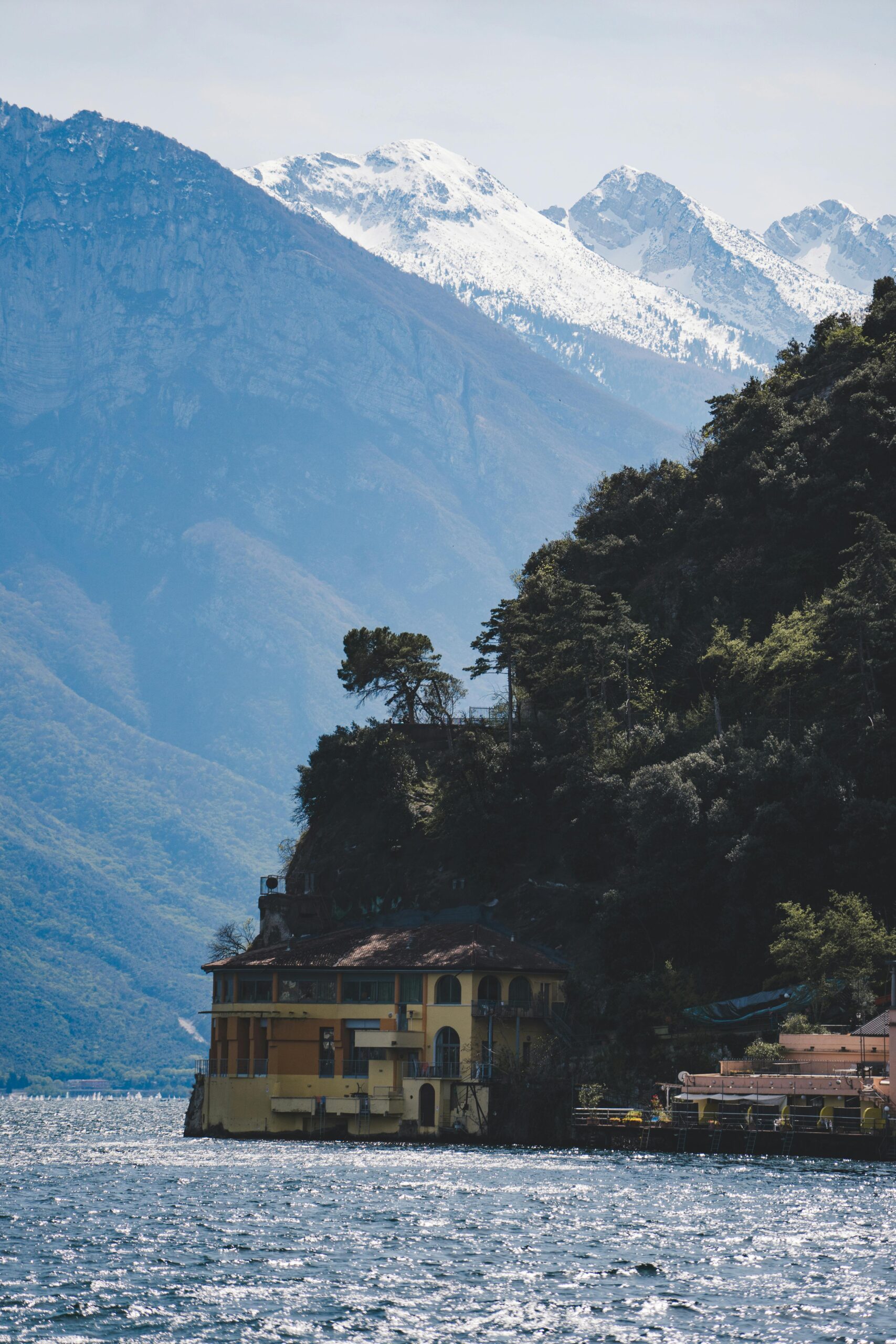 pexels-olivers-36980610